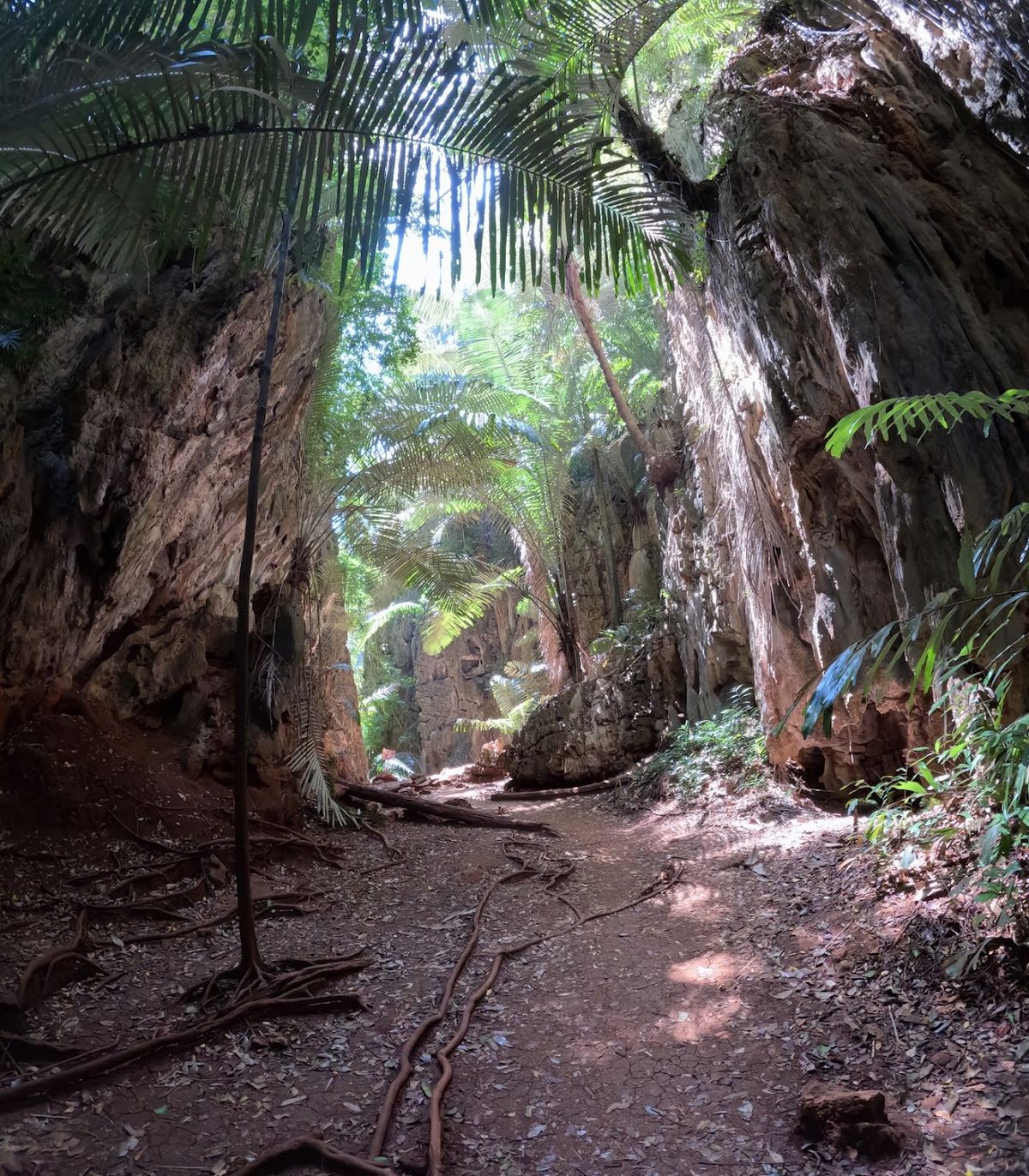 Emerald Lagoon Railay hike photo 4